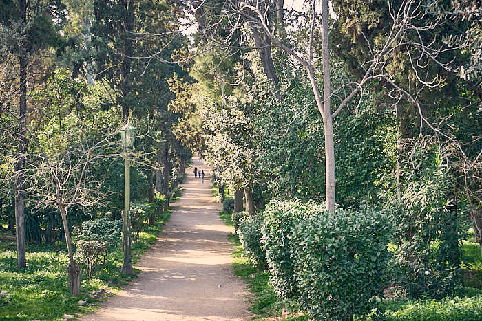Spazierweg Nationalgarten